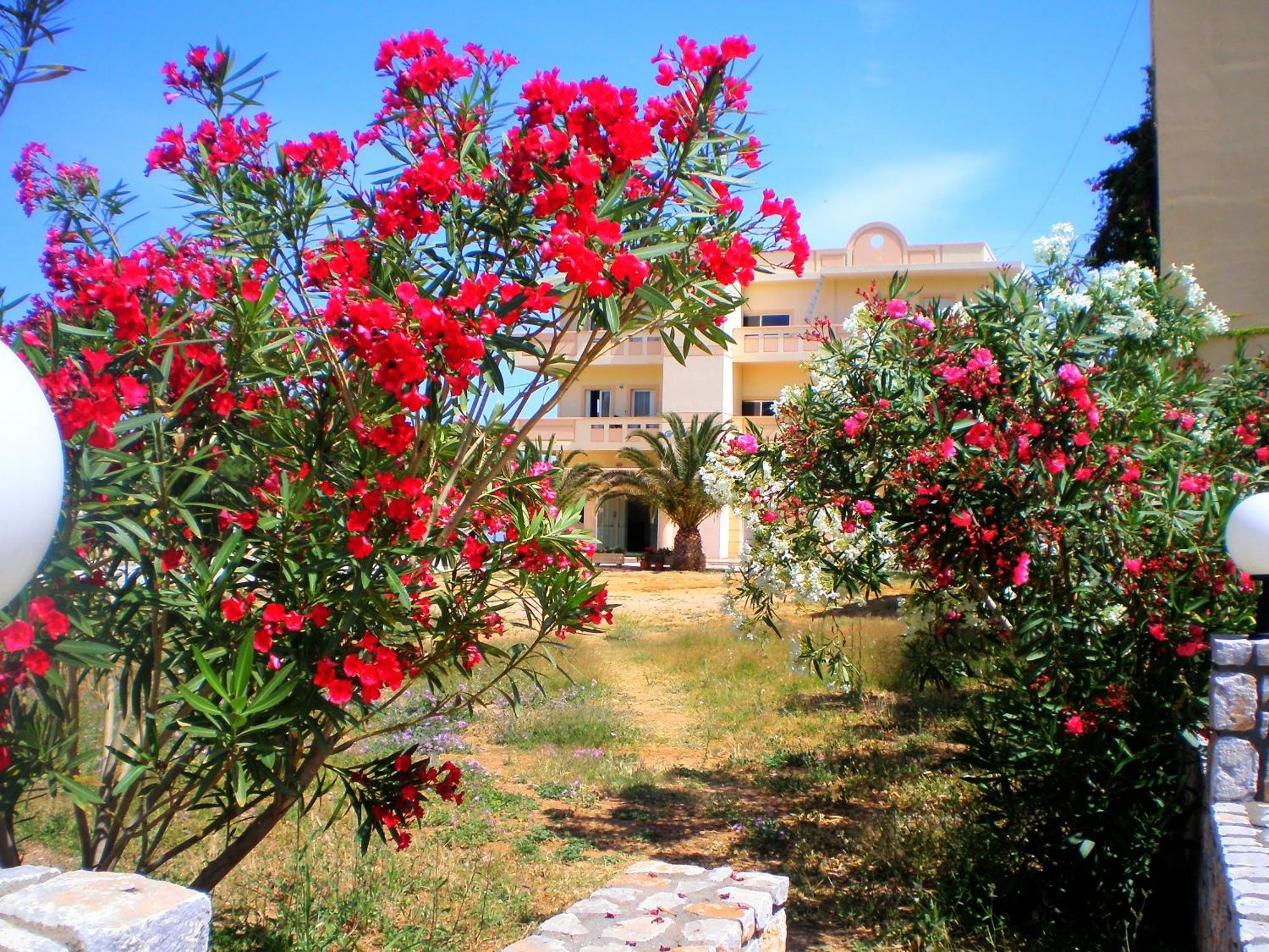 Galini Beach Hotel Kíssamos Exterior foto